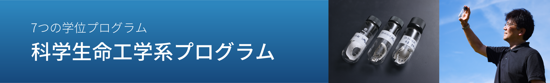 7つの学位プログラム　化学生命工学系プログラム