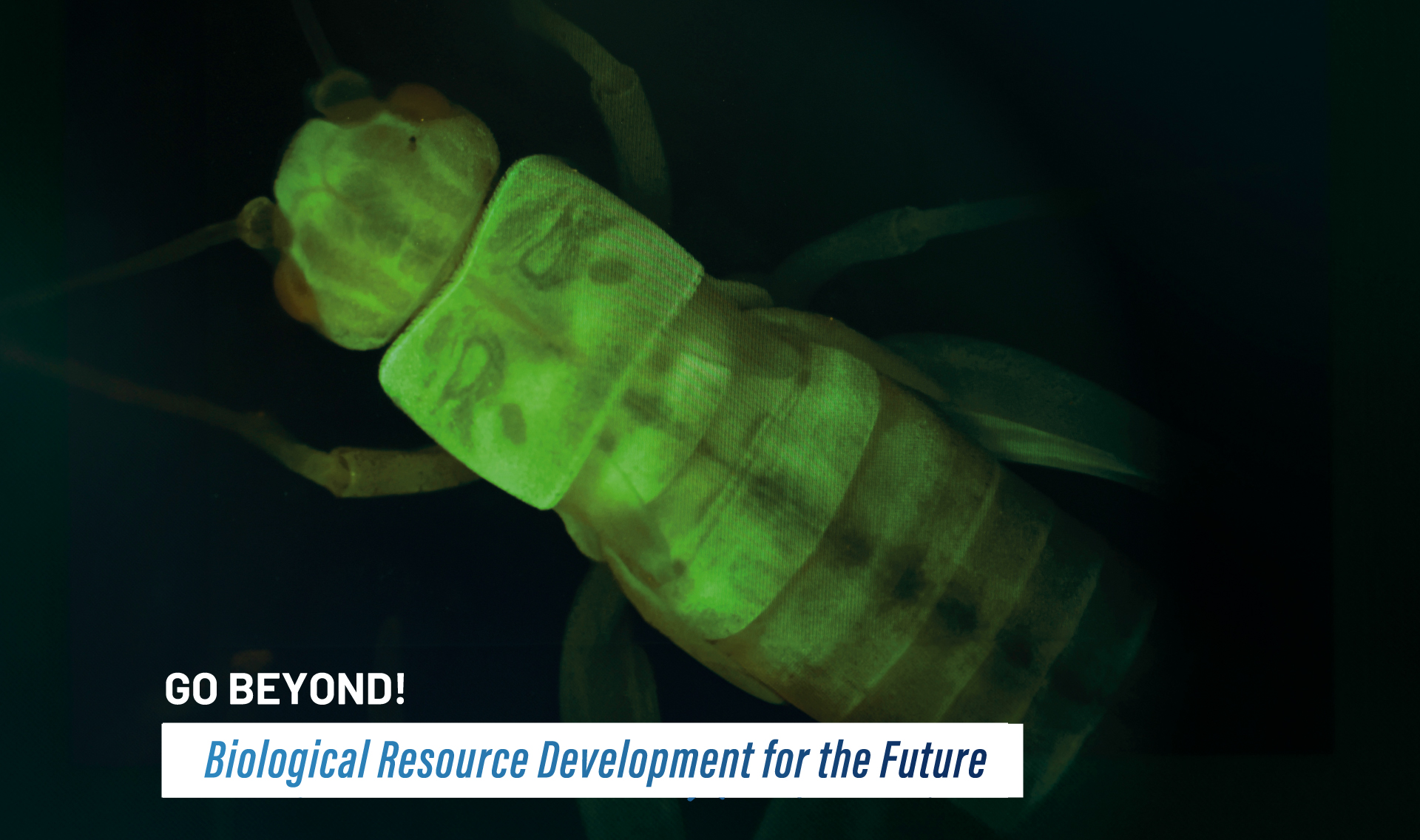 Biological Resource Development for the Future